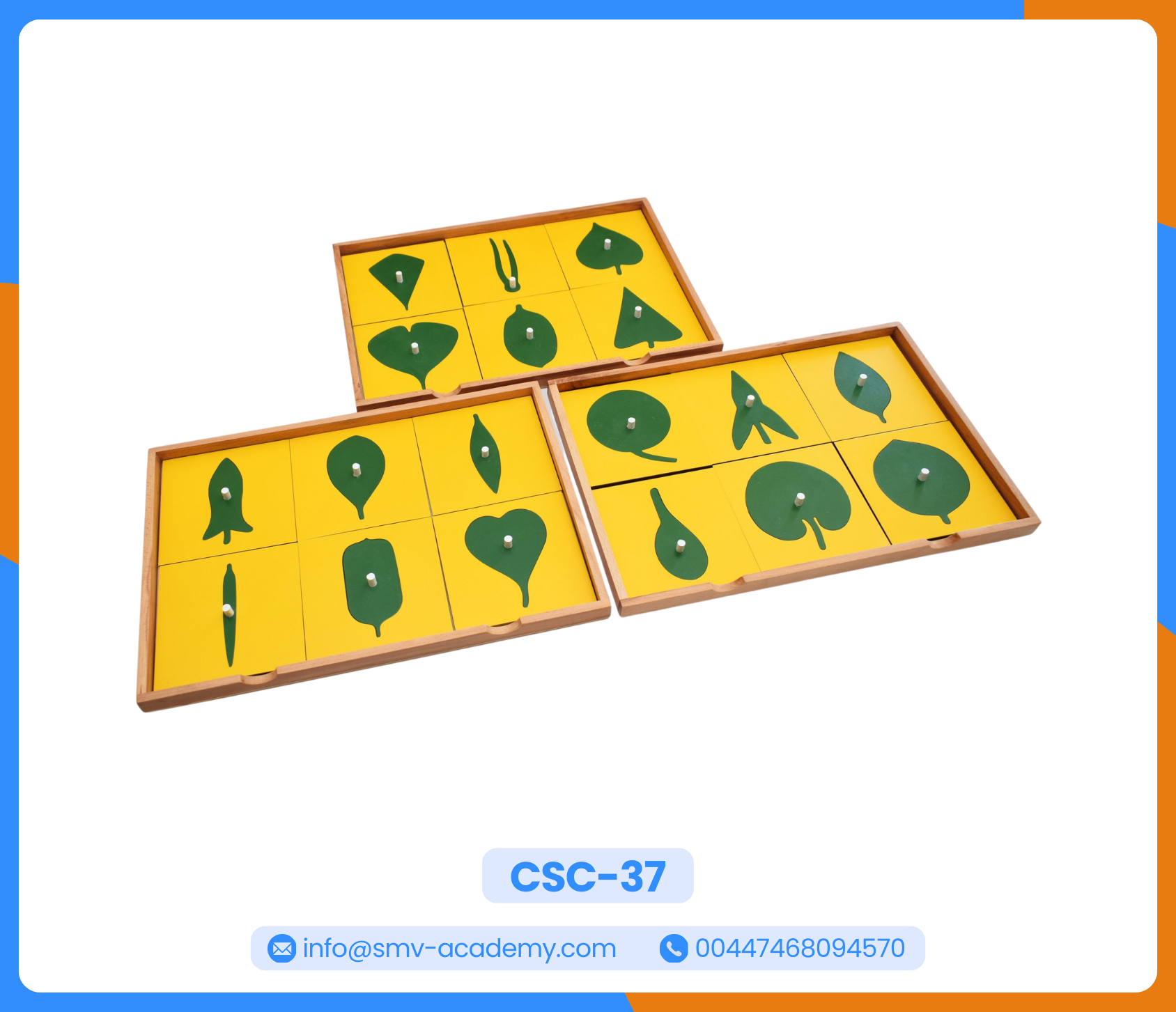 كابينة أوراق النبات | The Botany Cabinet